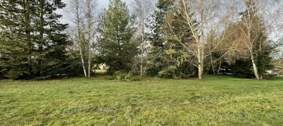  Land in Montrieux-en-Sologne, France No. 93780 5