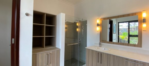 5 bedrooms Villa in Tamarin, Mauritius No. 252 13