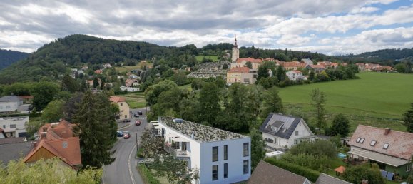 Gewerbliche Immobilie in Andritz, Austria 440m², Nr. 129107 2