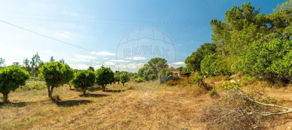 2 Schlafzimmer Haus in Abrantes, Portugal, Nr. 164763 11