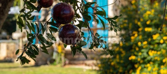 6 Schlafzimmer Haus in Modica, Italy, Nr. 109302 31