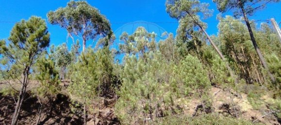 5 bedrooms House in Macao, Portugal No. 30181 40