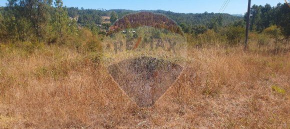 Grundstück in Serta, Portugal 6961m², Nr. 74685 7