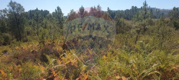 Grundstück in Serta, Portugal 6961m², Nr. 74685 6