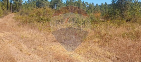 Grundstück in Serta, Portugal 6961m², Nr. 74685 8