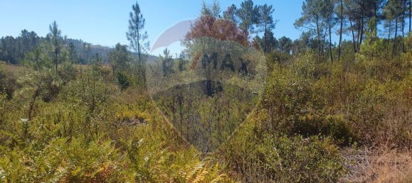 Grundstück in Serta, Portugal 6961m², Nr. 74685 4