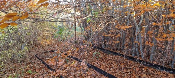 Таунхаус с 3 спальнями в Северная Саксония, Германия № 146954 7