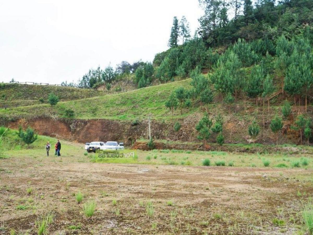 Terrain à Antioquia, Colombia No. 841