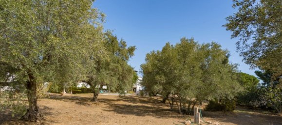 17 bedrooms House in Torremolinos, Spain No. 148766 7