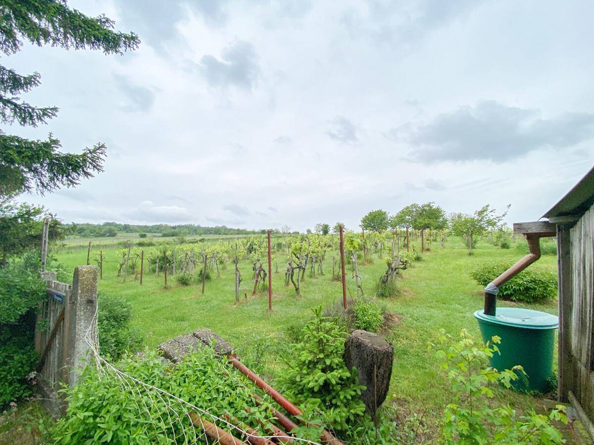 Замки и поместья с 2 комнатами в Вена, Австрия № 155758