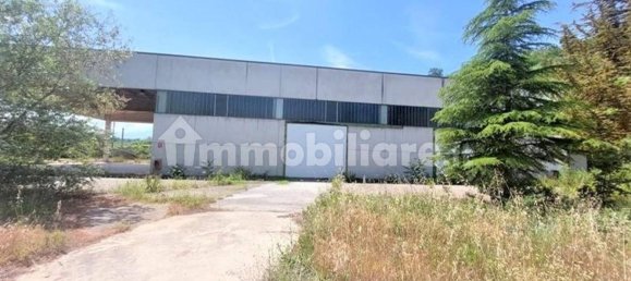 1724m² Warehouse in Giuliano Teatino, Italy No. 318859 14