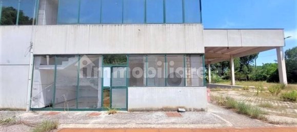 1724m² Warehouse in Giuliano Teatino, Italy No. 318859 11