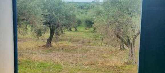 1 bedroom Villa in Ribera, Italy No. 19398 20