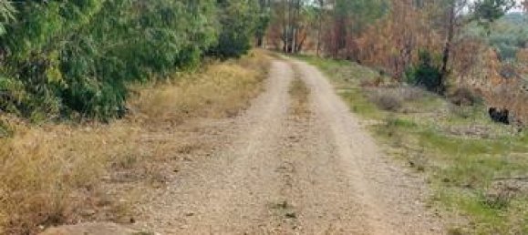 1 bedroom Villa in Ribera, Italy No. 19398 25