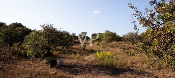 Casa de 5 habitaciónes en Olbia, Italy No. 23598 4