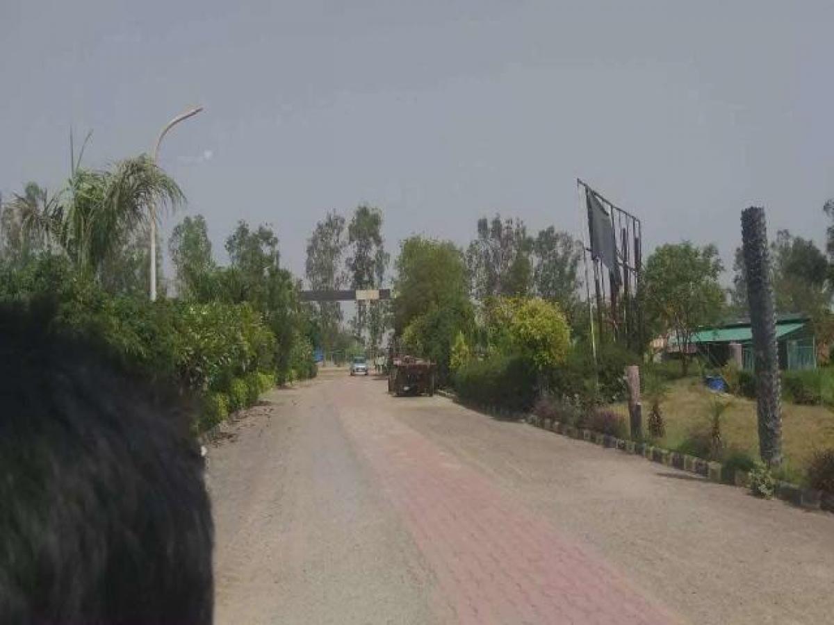 Земельный участок в Нойда, Индия № 66027