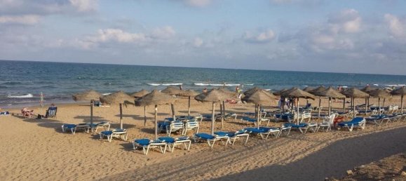 3 bedrooms Bungalow in Torrevieja, Spain No. 187966 21