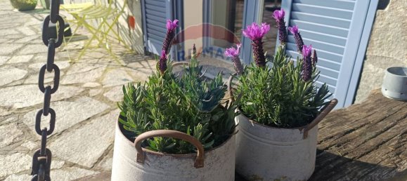 5 rooms House in Alta Valle Intelvi, Italy No. 299318 9