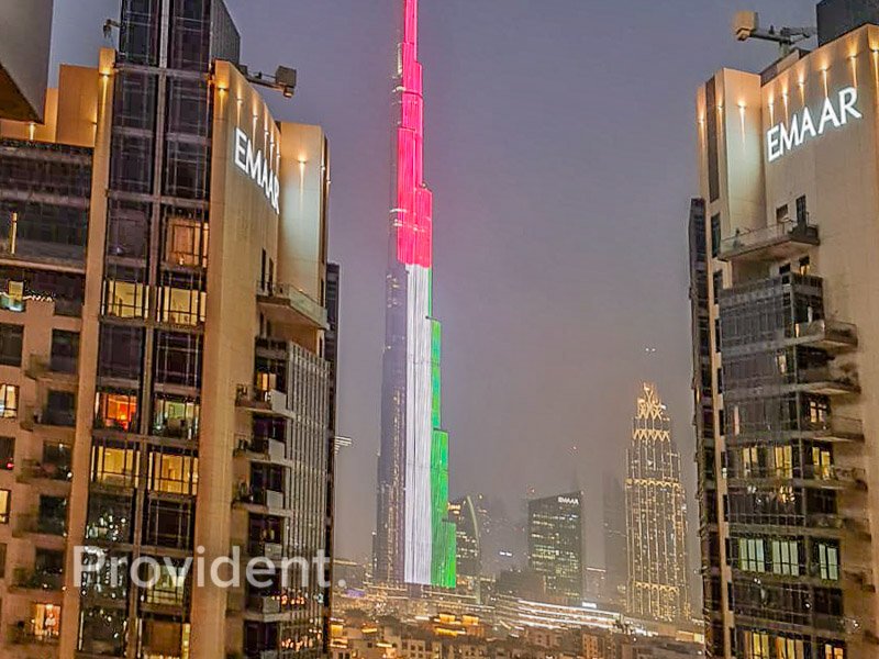  Apartment in Downtown Dubai (Downtown Burj Dubai), UAE No. 3997