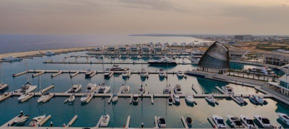 5 bedrooms Villa in Ayia Napa, Cyprus No. 31991 6