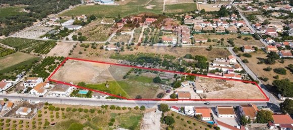 13250m² Land in Palmela, Portugal No. 91862 15
