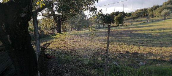 1 bedroom House in Alegrete, Portugal No. 28317 6