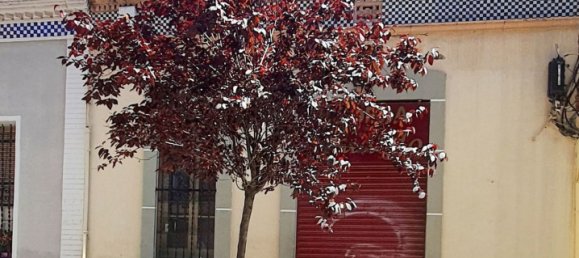 Gewerbliche Immobilie in Barcelona, Spain 100m², Nr. 150846 2