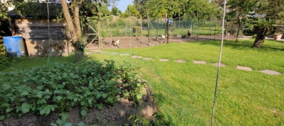  Land in Lippe, Germany No. 217892 4