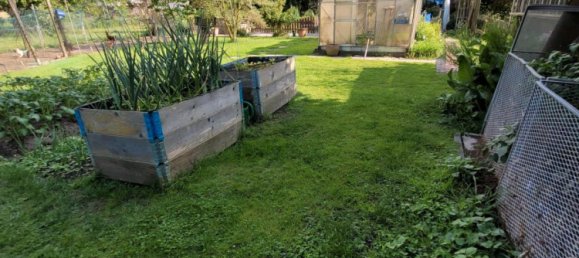  Land in Lippe, Germany No. 217892 3