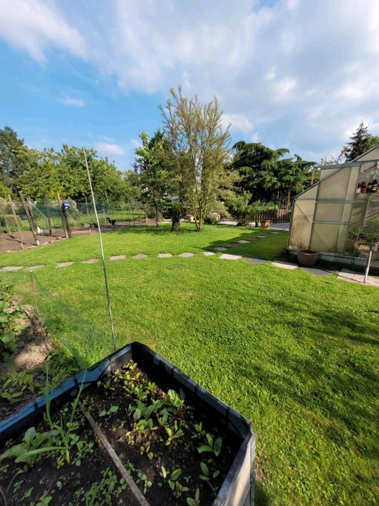  Land in Lippe, Germany No. 217892