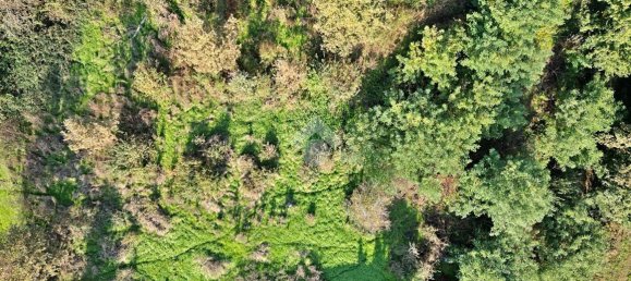 قطعة أرض في Bra, Italy 1250متر مربع رقم 109725 4