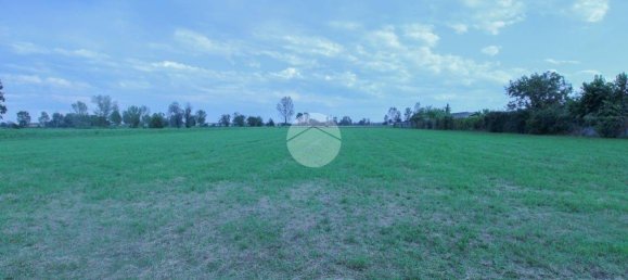 10000m² Land in Quintano, Italy No. 292795 4