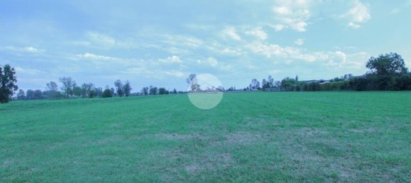 10000m² Land in Quintano, Italy No. 292795 8