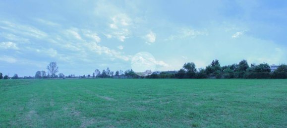 10000m² Land in Quintano, Italy No. 292795 10