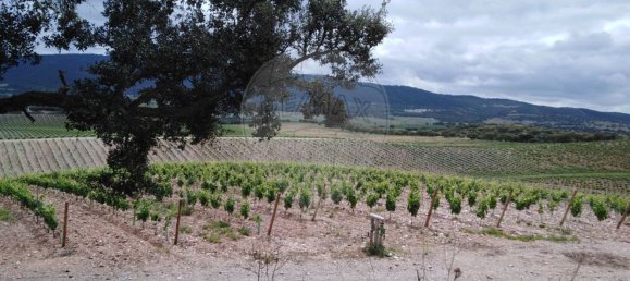 3 chambres Maison à Borba, Portugal No. 25278 13