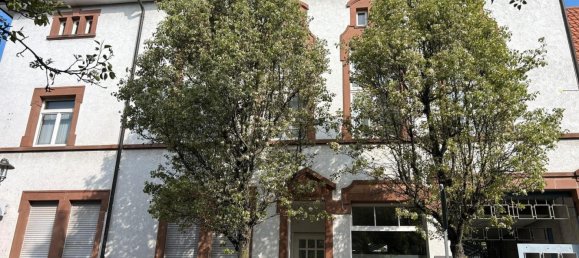 Коммерческая недвижимость 244м² в Гермерсхайм, Германия № 294695 7