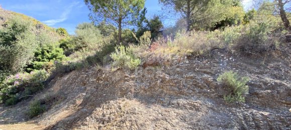  قطعة أرض في Alhaurin el Grande, Spain رقم 126101 31