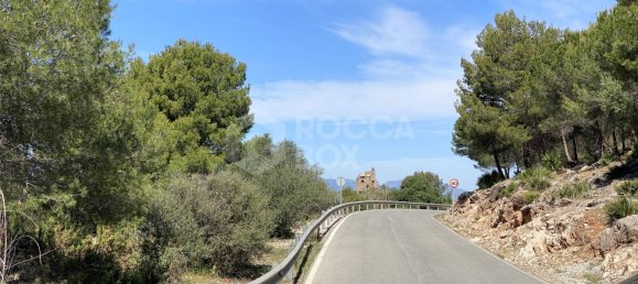  قطعة أرض في Alhaurin el Grande, Spain رقم 126101 25