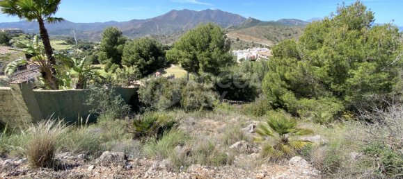  قطعة أرض في Alhaurin el Grande, Spain رقم 126101 16