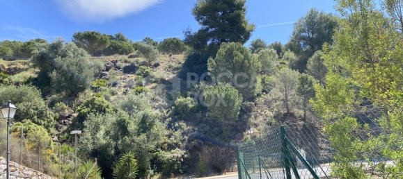  قطعة أرض في Alhaurin el Grande, Spain رقم 126101 38