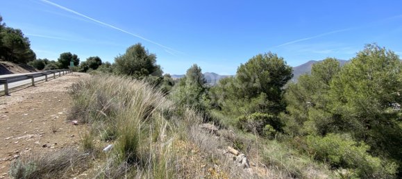  قطعة أرض في Alhaurin el Grande, Spain رقم 126101 7