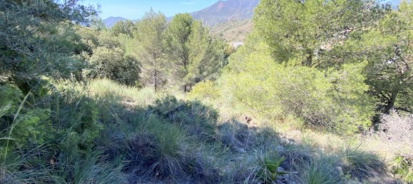  قطعة أرض في Alhaurin el Grande, Spain رقم 126101 11