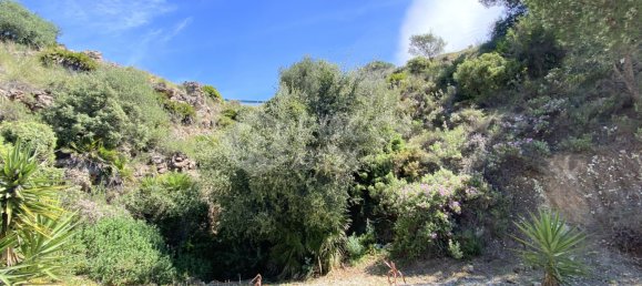  قطعة أرض في Alhaurin el Grande, Spain رقم 126101 33