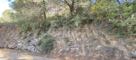  قطعة أرض في Alhaurin el Grande, Spain رقم 126101 28