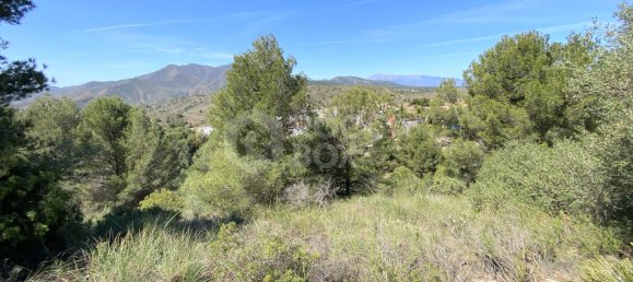  قطعة أرض في Alhaurin el Grande, Spain رقم 126101 9