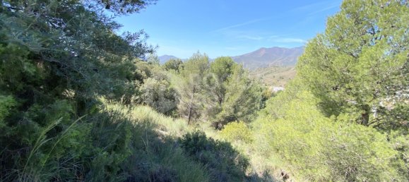  قطعة أرض في Alhaurin el Grande, Spain رقم 126101 12