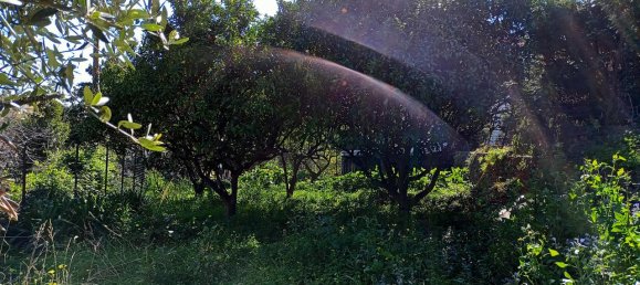 2-Zimmer Wohnung in Sanremo, Italy, Nr. 224829 14