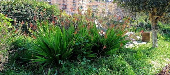 2-Zimmer Wohnung in Sanremo, Italy, Nr. 224829 11