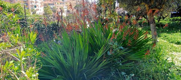 2-Zimmer Wohnung in Sanremo, Italy, Nr. 224829 13