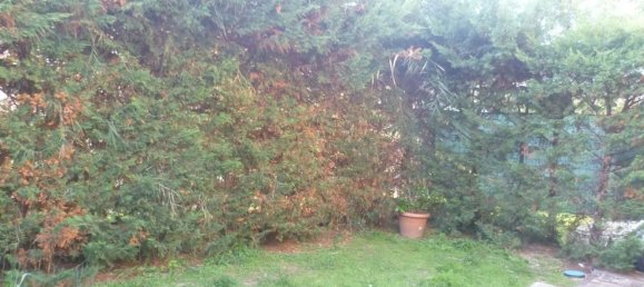 Квартира с 2 комнатами в Червия, Италия № 149725 5